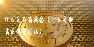 期货黄金小额(期货黄金小额交易规则)_期货直播间_第1张_国内期货直播室 期货黄金小额(期货黄金小额交易规则)_https://gnqh.wpmee.com_期货直播间_第1张