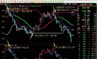 期货交易的主要组织机构(期货交易的主要组织机构是)_https://gnqh.wpmee.com_期货分析_第1张
